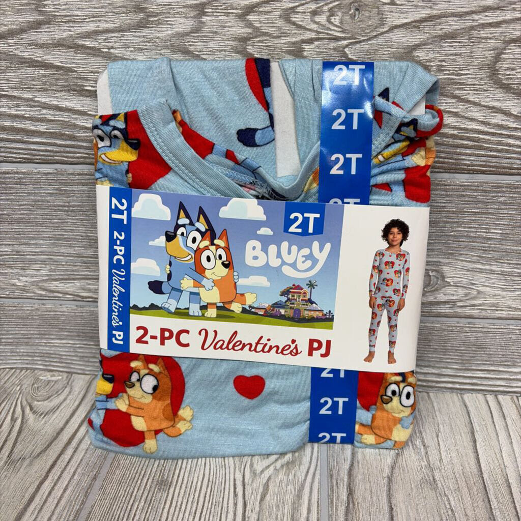 NEW 2 Pc LS Bamboo PJs Hearts 2t