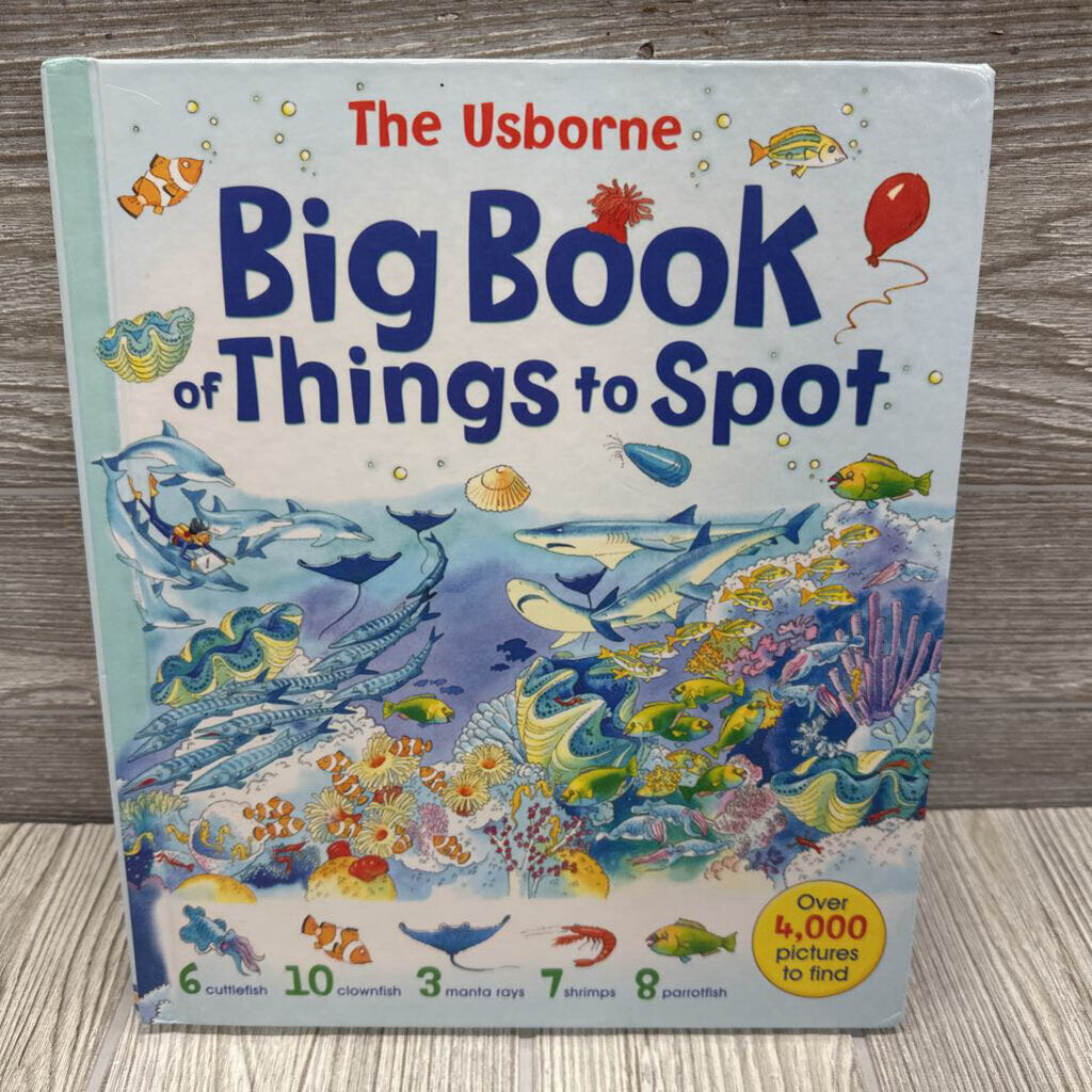 Usborne Big Book Of Things To Spot