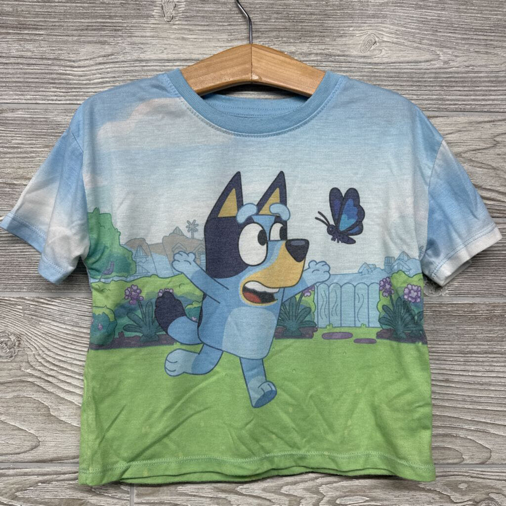 Shirt Chasing Butterfly 4t