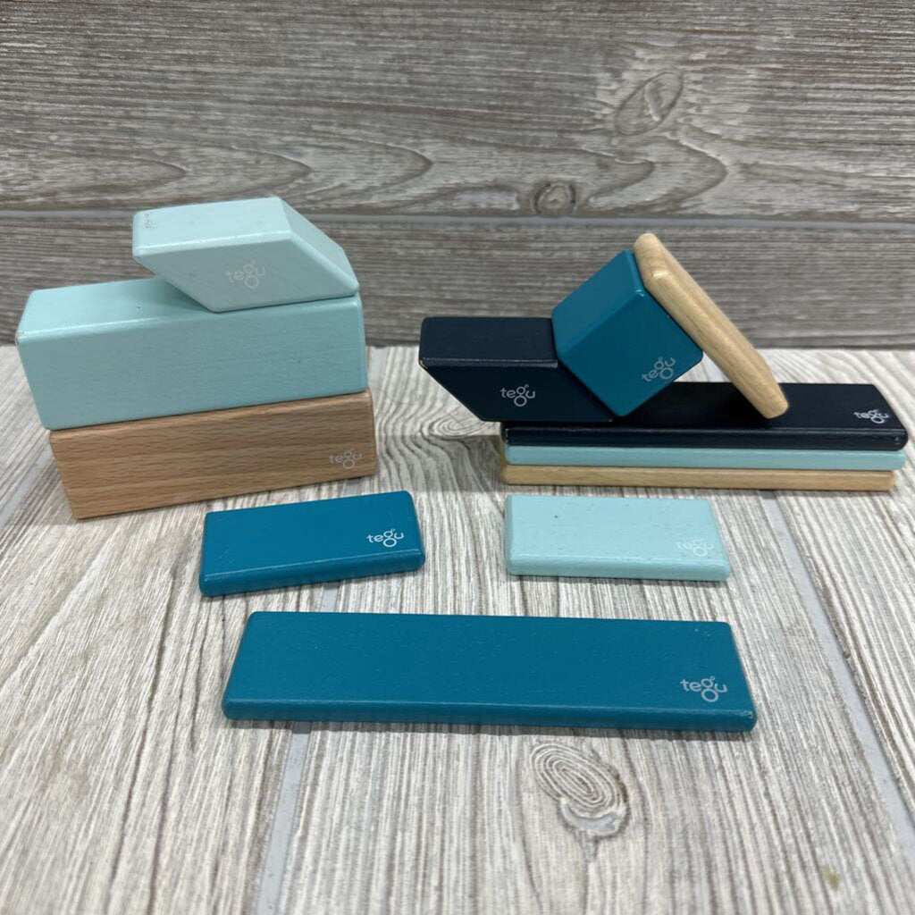 12 Pk Magnetic Blocks