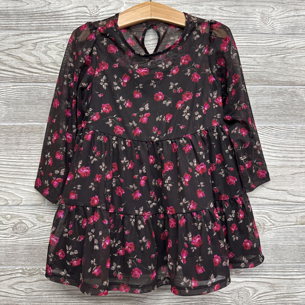 LS Layered Sheer Dress Flowers 3t