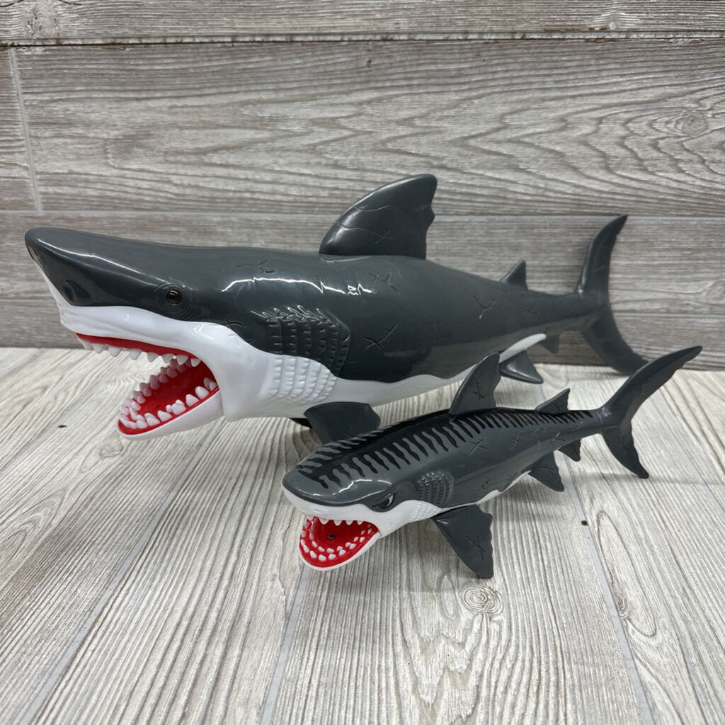 Great White & Tiger Sharks