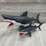 Great White & Tiger Sharks