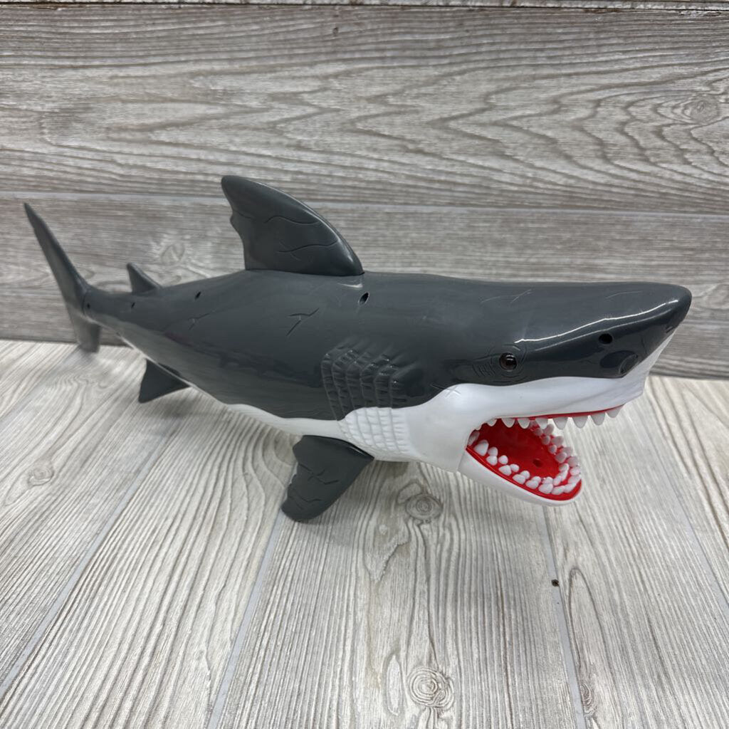 Great White & Tiger Sharks