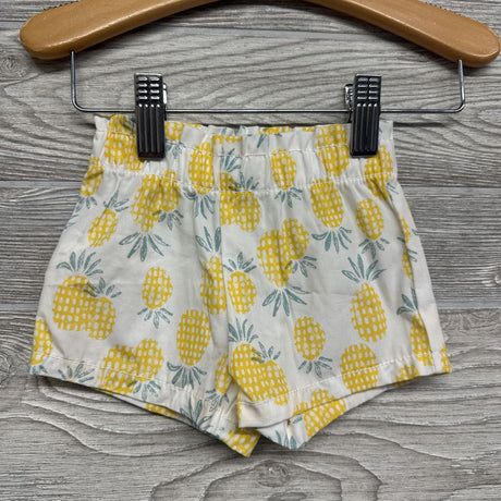 Flutter Sleeve Shirt & Pineapple Shorts 3M