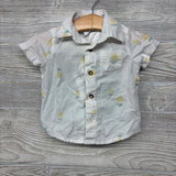 Button Up SS Shirt Pineapples & Shorts 3M