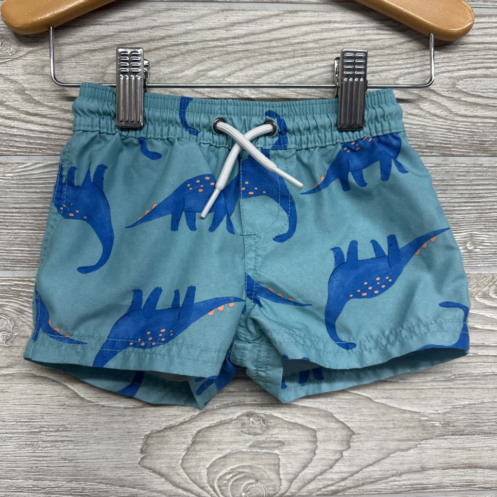 *LS Swim Shirt Dinosaur & Trunks 9M