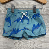 *LS Swim Shirt Dinosaur & Trunks 9M