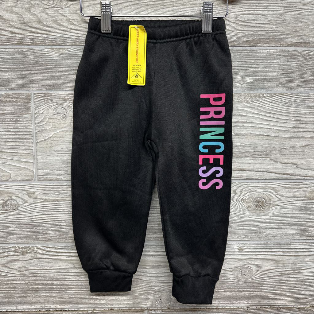 NEW Hoodie & Sweatpants Princess 12-18M