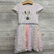 Tulle Dress Minnie Mouse Butterfly Flowers 5T