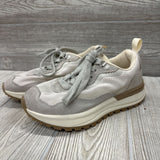 Sneakers 13c