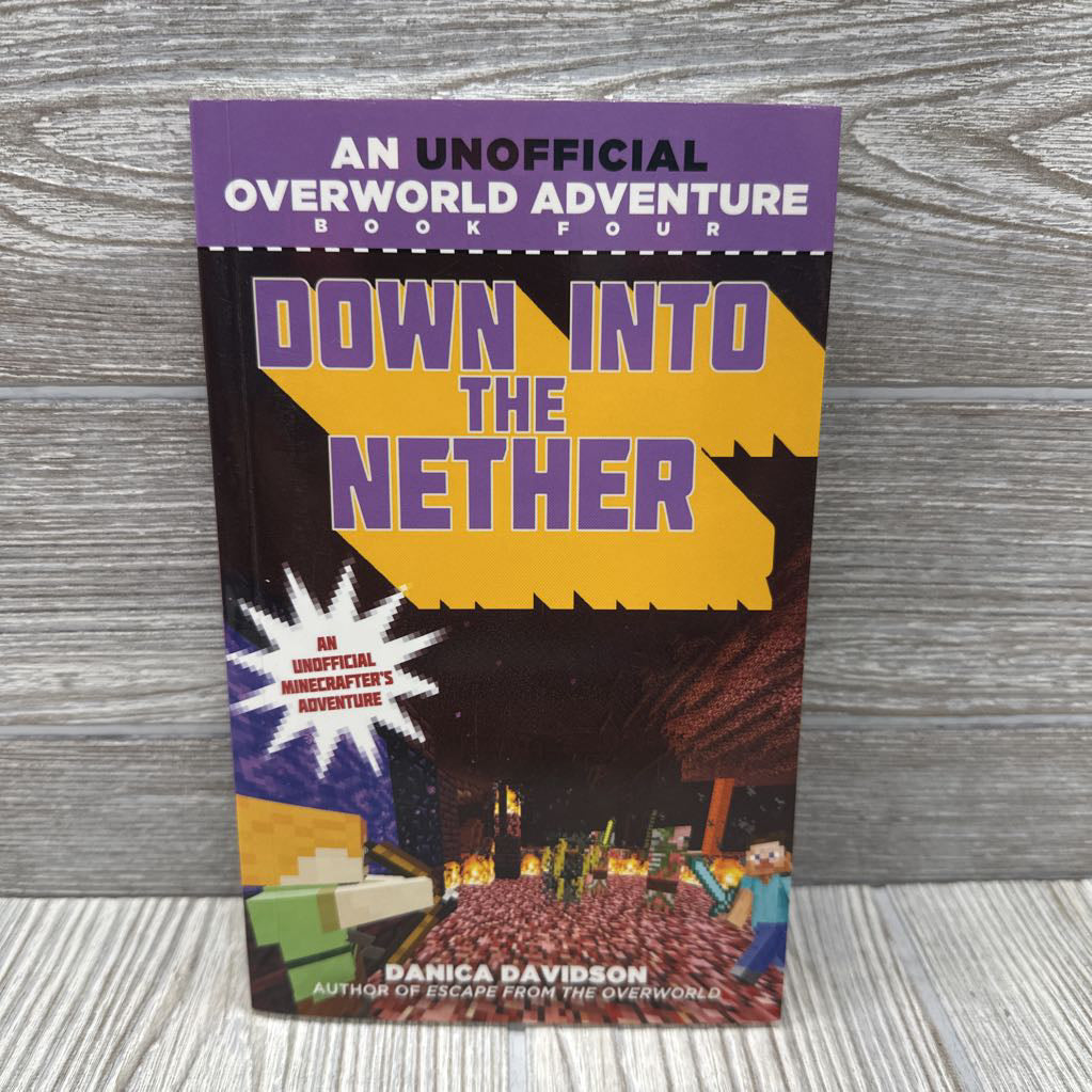 Down Into The Nether Paperback Book