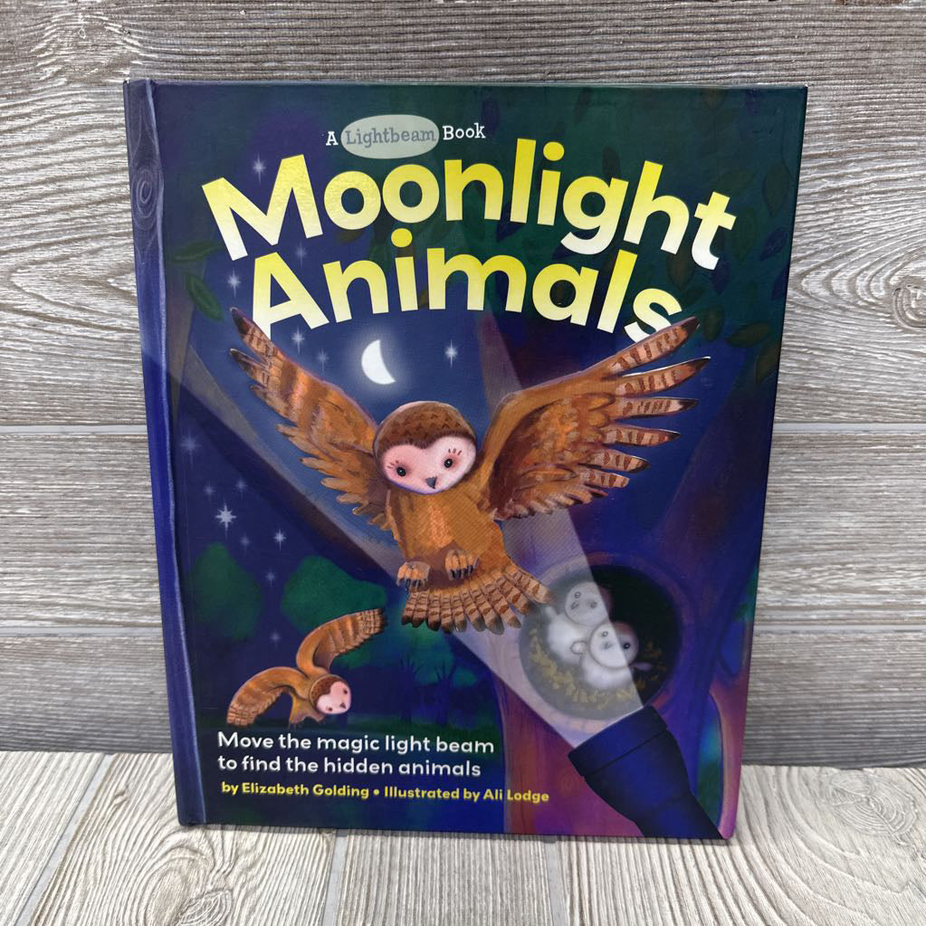 Moonlight Animals Lightbeam Book