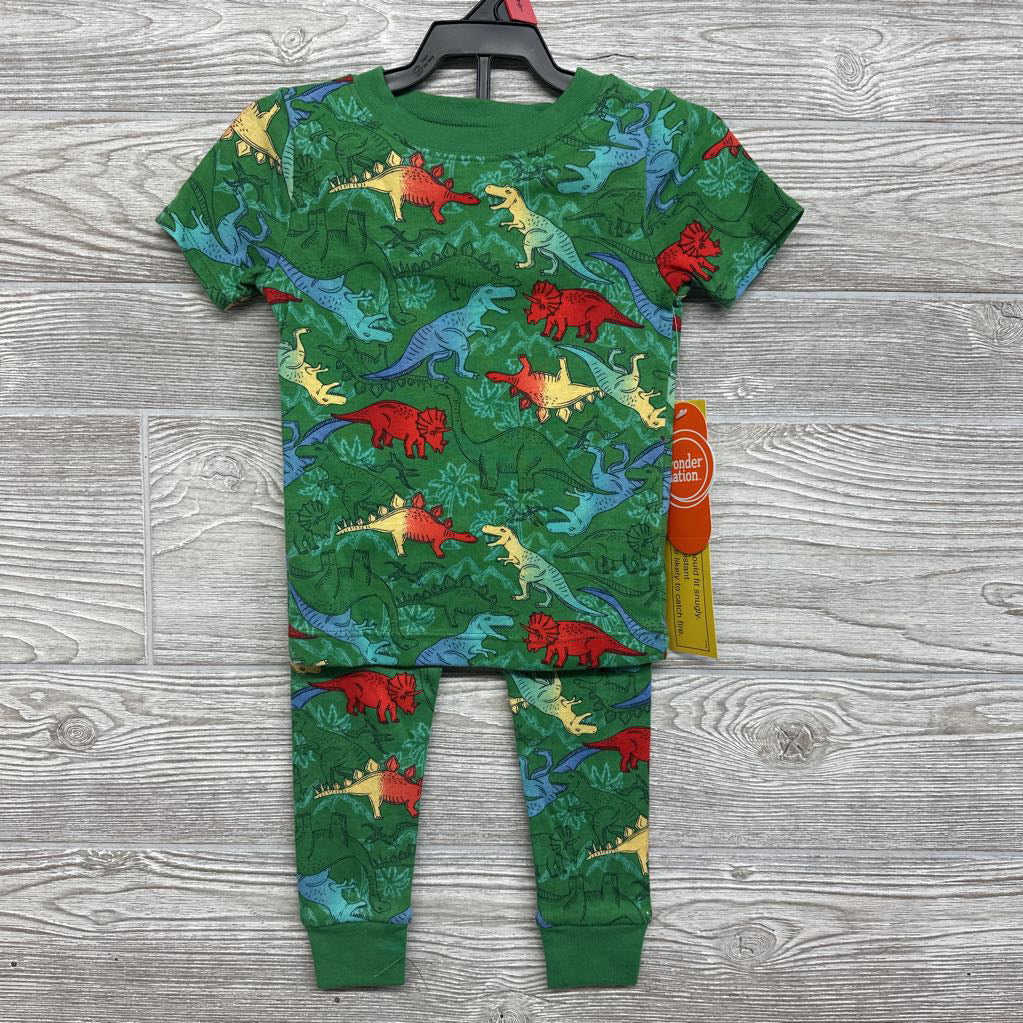 NEW 2 Pc Pj Dinosaurs 2t