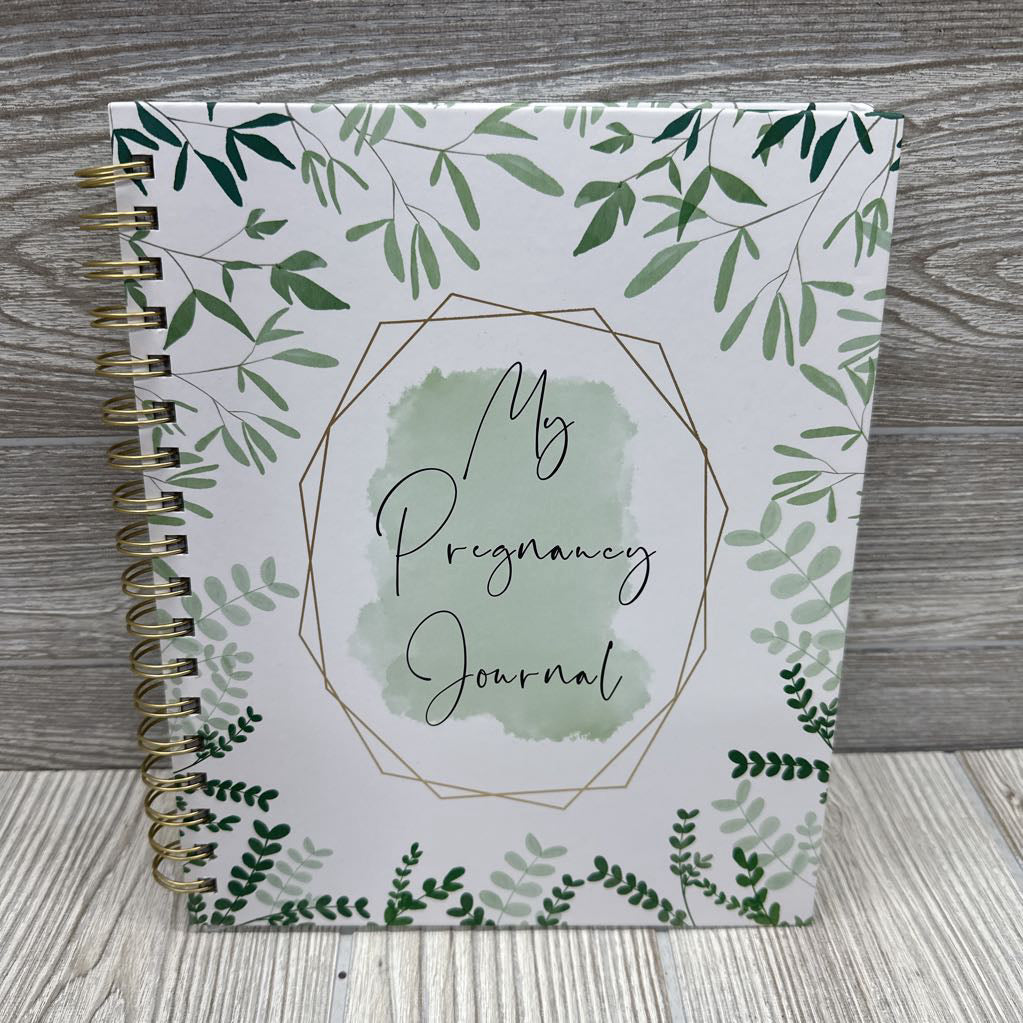 NEW Two Little Dinos Pregnancy Journal