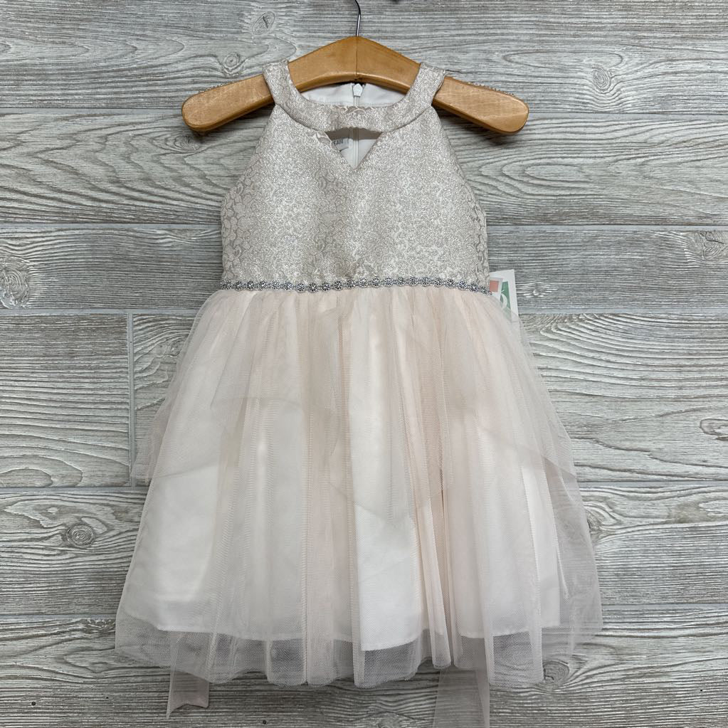 NEW Dress Flowers Tulle Skirt 2t