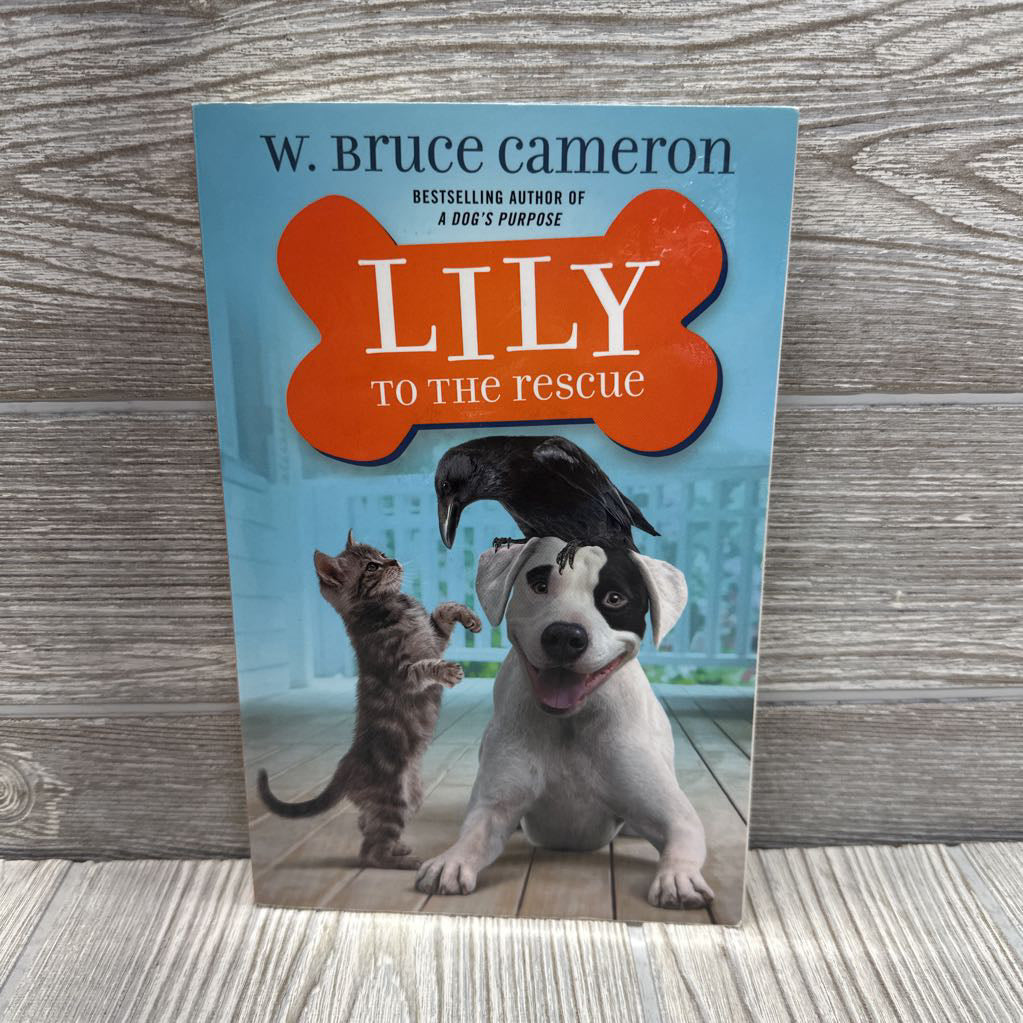 Lilly To The Rescue Chapter Book