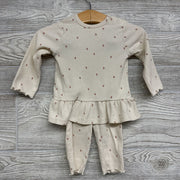 Ribbed Lettuce Trim Shirt & Pants Flowers 6M