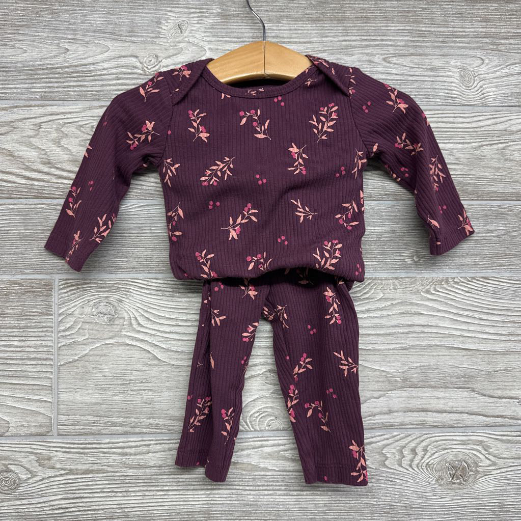 Ribbed Bodysuit & Ruffle Butt Pants Flowers 6M