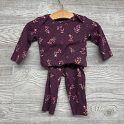 Ribbed Bodysuit & Ruffle Butt Pants Flowers 6M