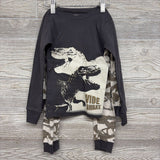 3 Pk Pj Dinosaur Skeletons 5