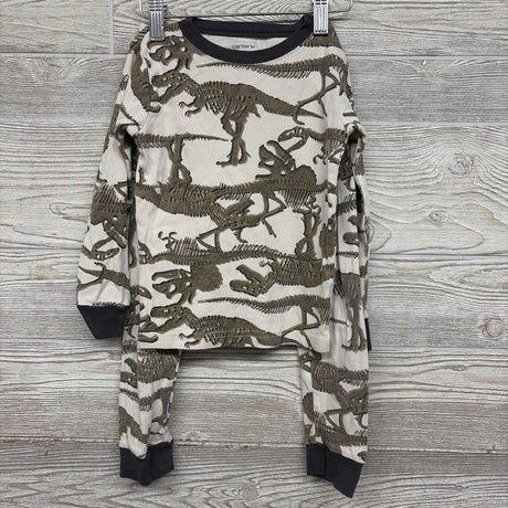 3 Pk Pj Dinosaur Skeletons 5