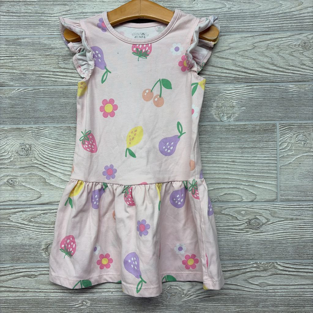 Flutter Sleeve Dress Flowers Fruit 4T