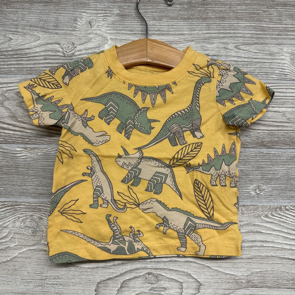 Shirt Dinosaurs 9M