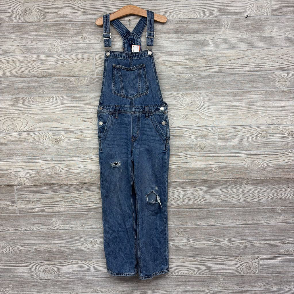 Denim Overalls 10