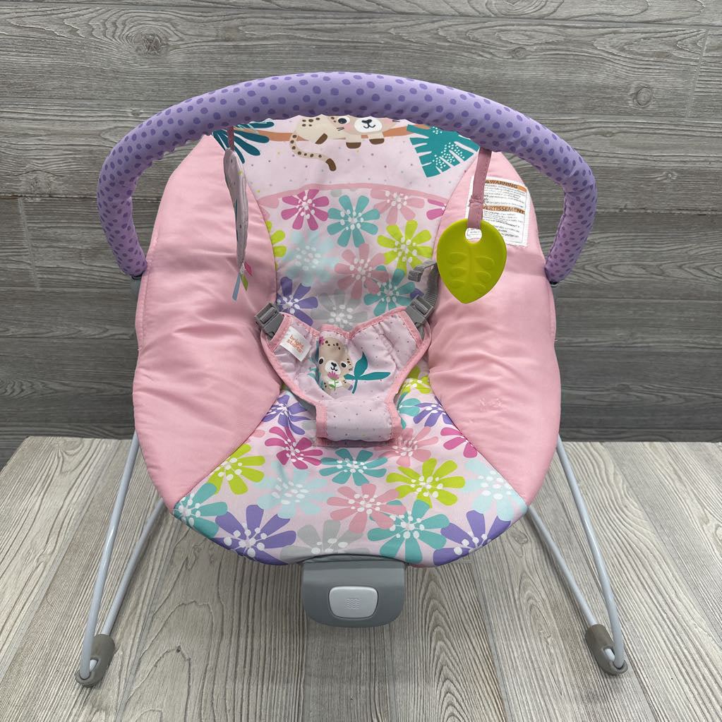 Wild Flower Wonders Bouncer