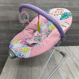 Wild Flower Wonders Bouncer