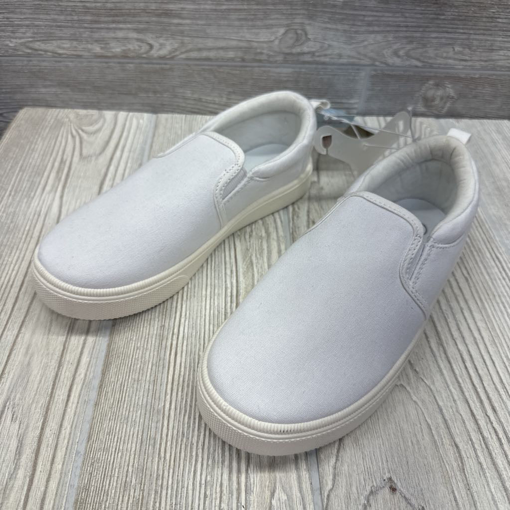 NEW Hollis Slip On Shoes 2y