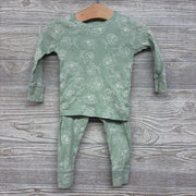 2 Pc LS Organic PJs Flowers 12M