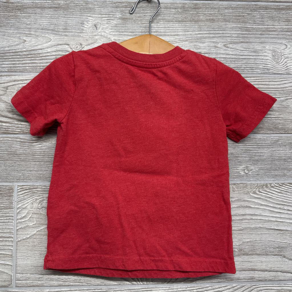 Shirt The Amazing Spider Man 18M