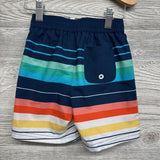 Swim Trunks Stripes 2T