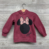 Hoodie Minnie Mouse Flower Bow 2t