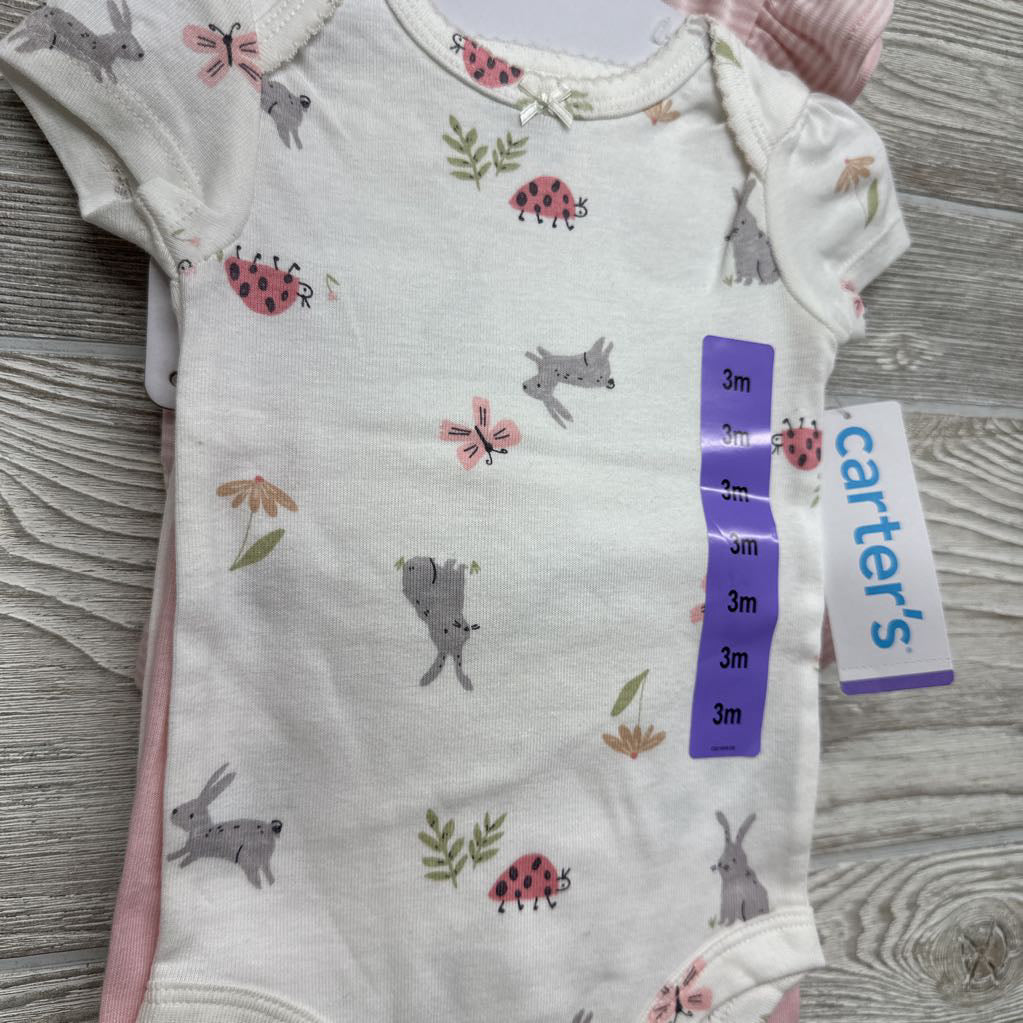 NEW Bodysuit Rabbits, Bugs, Flutter Sleeve Bodysuit & Pants 3M