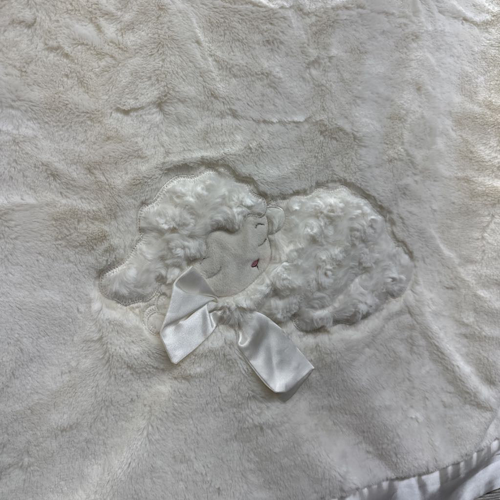 NEW Lamb Plush Blanket Satin Edges