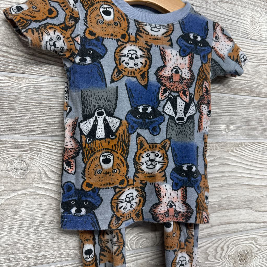 2 Pc PJs Racoons Bears Tigers 18M