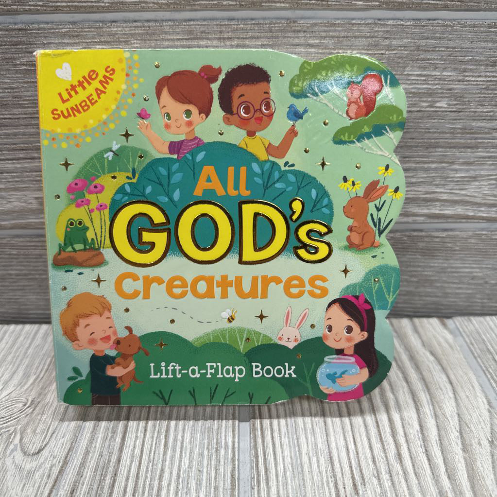 All God's Creatures Lift A Flap Board Book