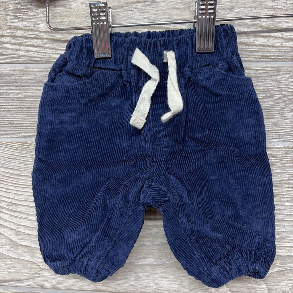 Button Up Shirt Fox Mountains & Corduroy Pants NB
