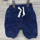 Button Up Shirt Fox Mountains & Corduroy Pants NB