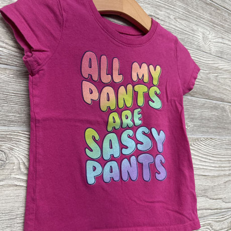 Shirt All My Pants Are Sassy Pants 3T