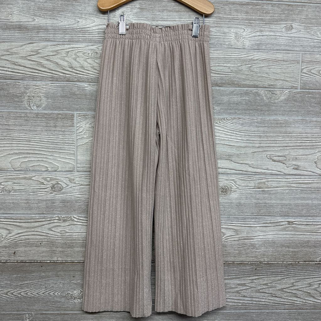 Pleated Wide Leg Pants 8 *