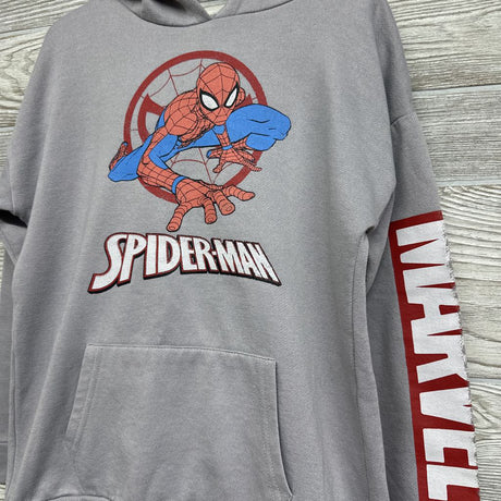 Hoodie Spider-Man 8