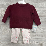 NEW Sweater & Leggings Flowers NB