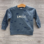 NEW Crewneck Dinosaurs Smile 12M