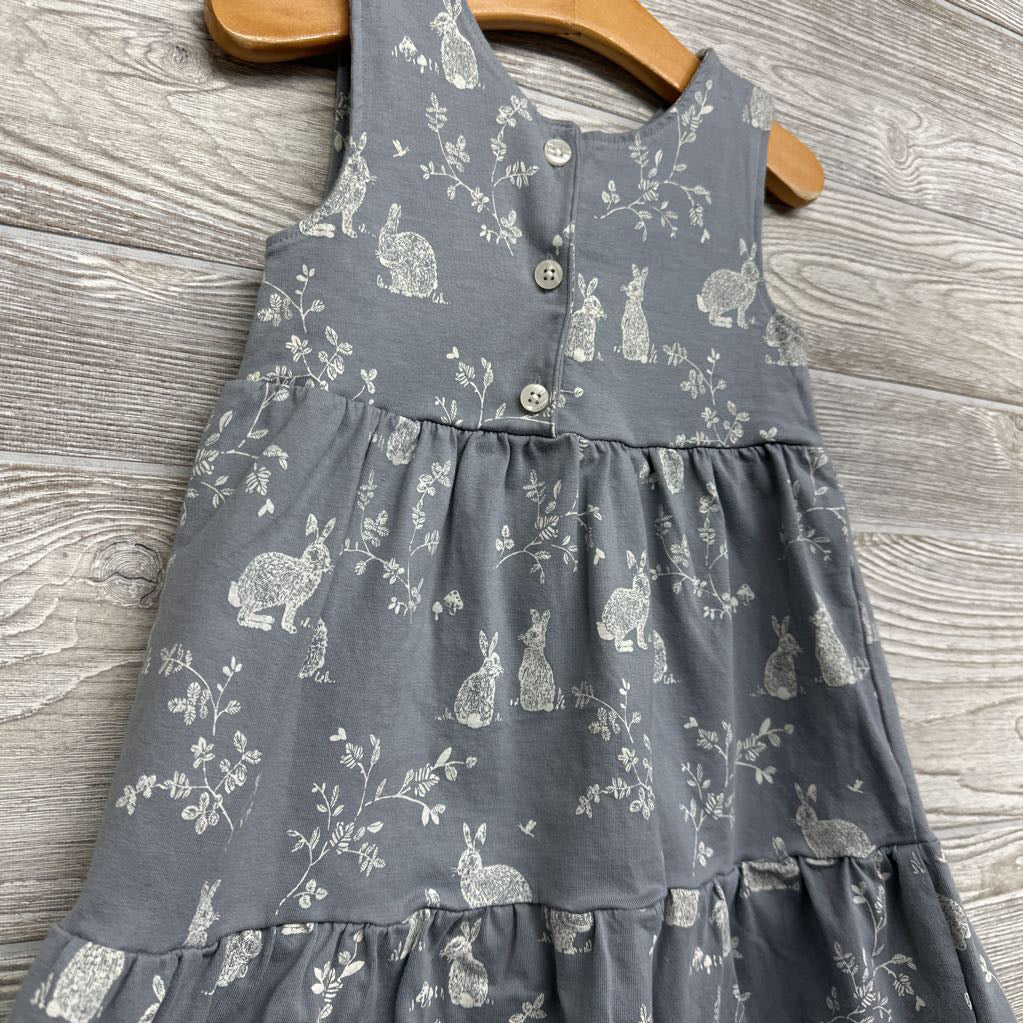 Organic Sleeveless Dress Rabbits 4t