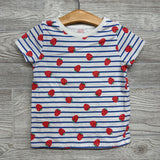 Shirt Stripes & Strawberries 5t
