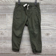 Pull On Drawstring Jogger Pants 2t